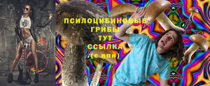 Псилоцибиновые грибы Cubensis  Азнакаево 